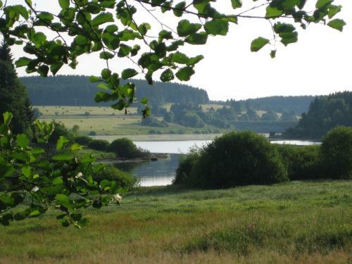 Hostal Hotel Gr�ne Tanne Mandelholz