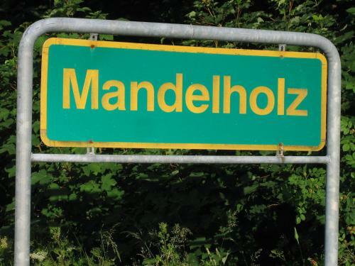 Hostal Hotel Gr�ne Tanne Mandelholz