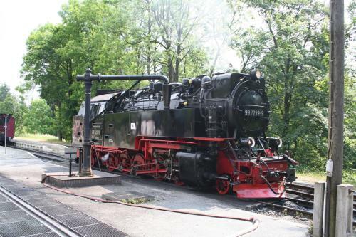 Hostal Hotel Gr�ne Tanne Mandelholz