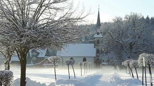 Ferienhaus Brockenhexe