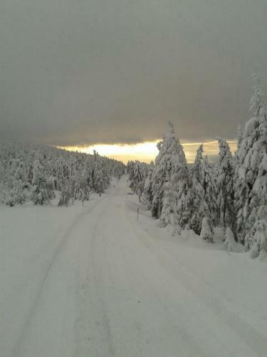 Ferienhaus Brockenhexe