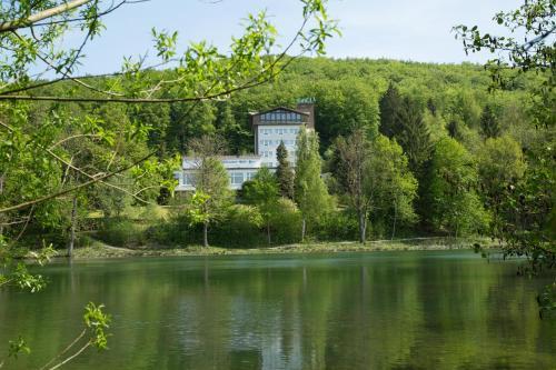Hotel Reifenstein