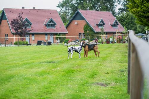 Hostal Ferienanlage Margaretenhof