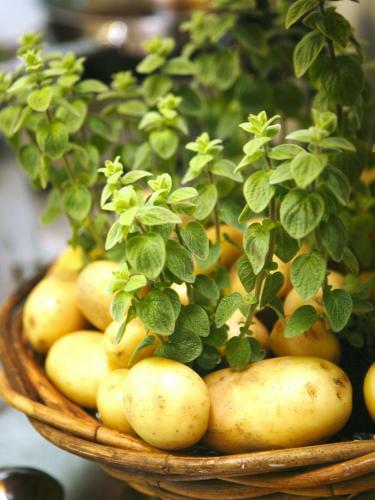 Hostal Ferienanlage Margaretenhof