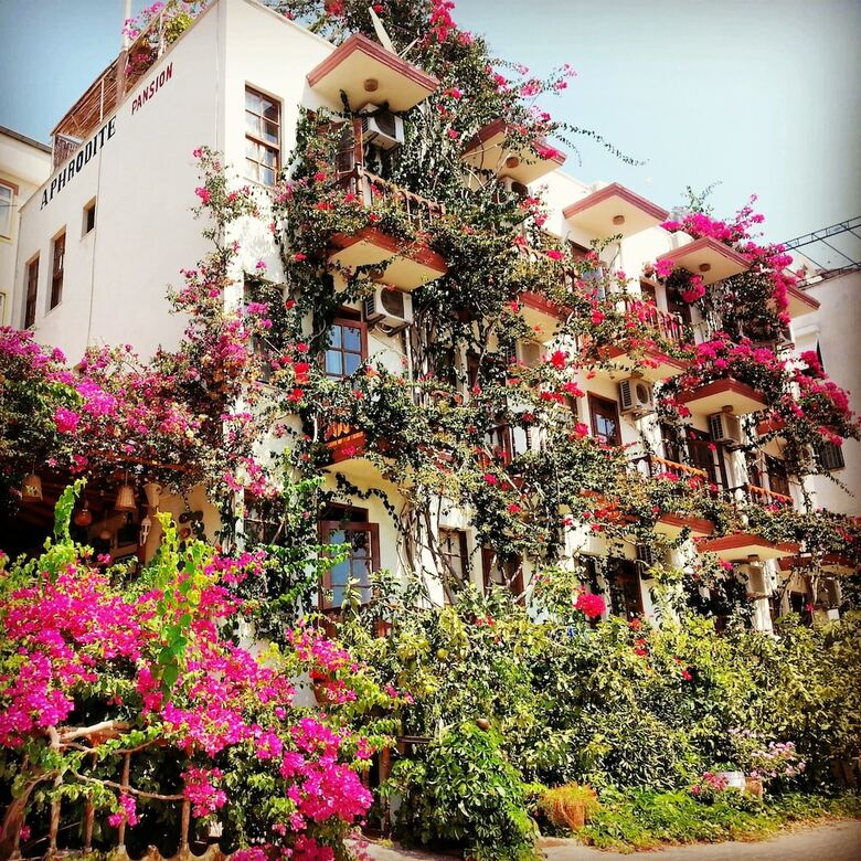 Hotel Aphrodite Pansiyon