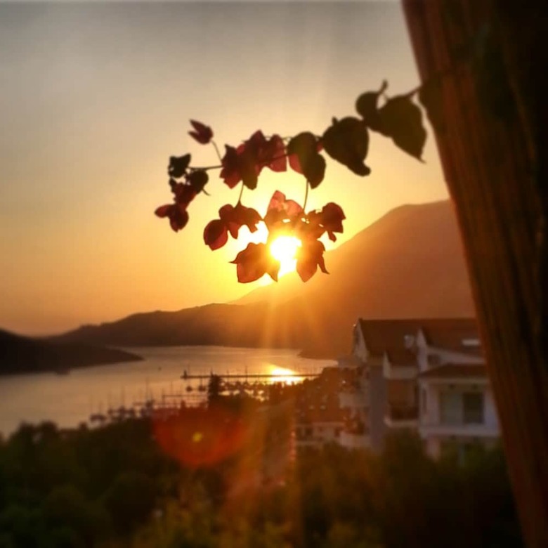 Hotel Aphrodite Pansiyon