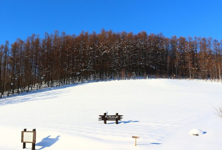 Cabana Furano Denen Cottage Nupuri