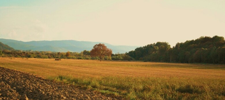 Agroturismo Agriturismo Il Puntoncino