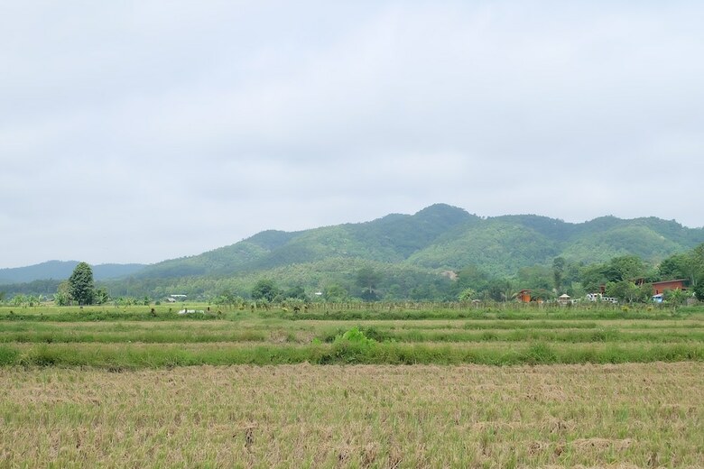 Hotel Baan Klang Nam Resort