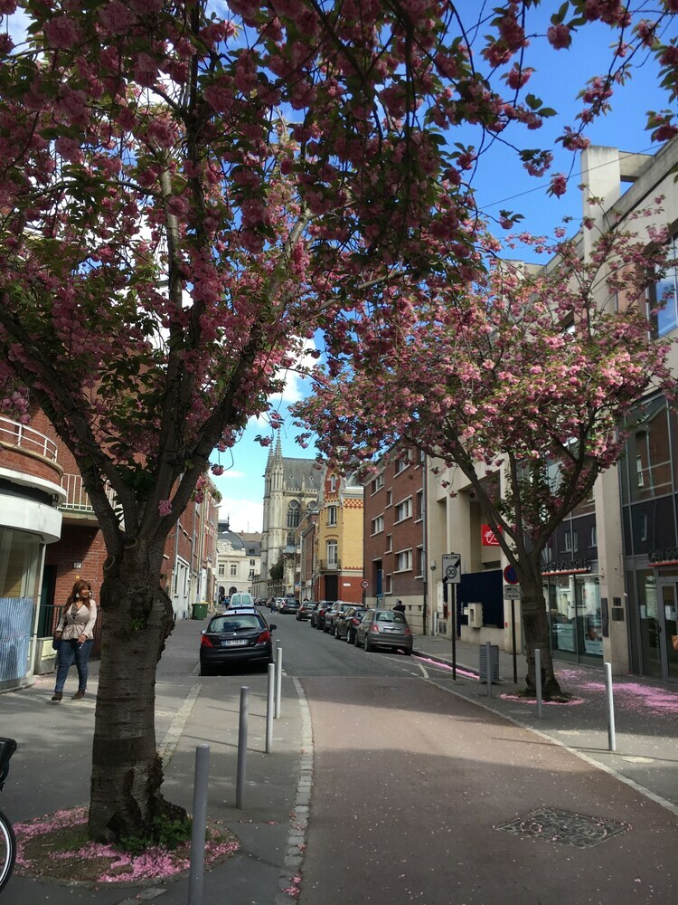 Apartamento R�sidence Le Bristol Amiens Centre