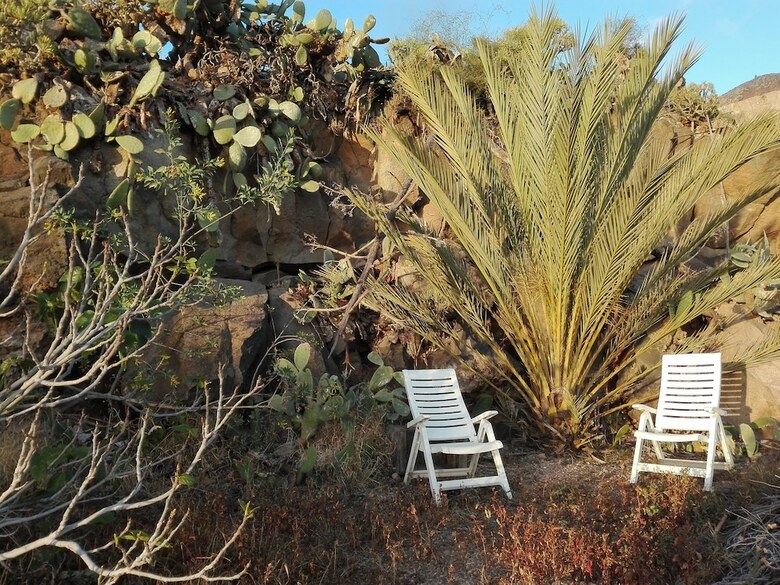 Agroturismo Finca Patio Canario