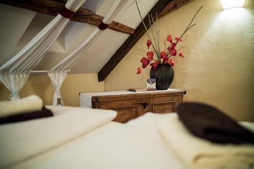 Hostal Rittergut Positz