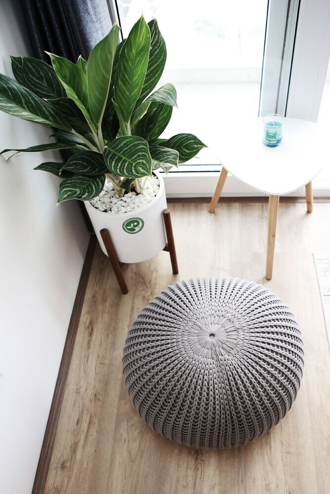 Apartamentos Dreamer Homestay