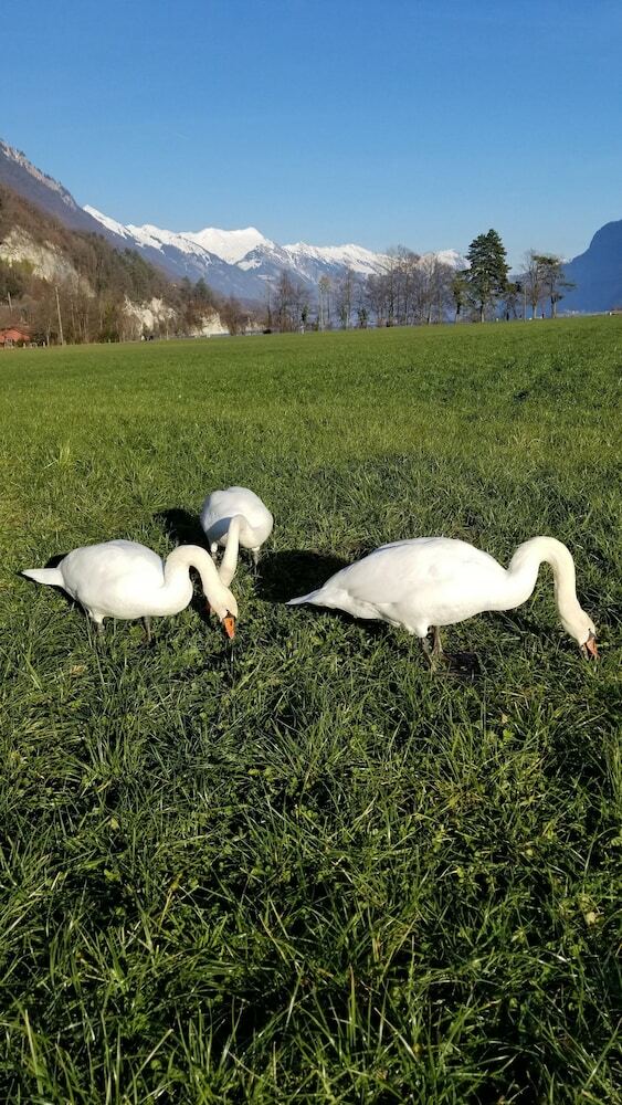 Hostal Down Town Hostel Interlaken