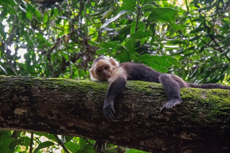 Hotel Lodge Margouillat