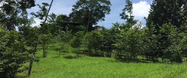 Hotel Lodge Margouillat