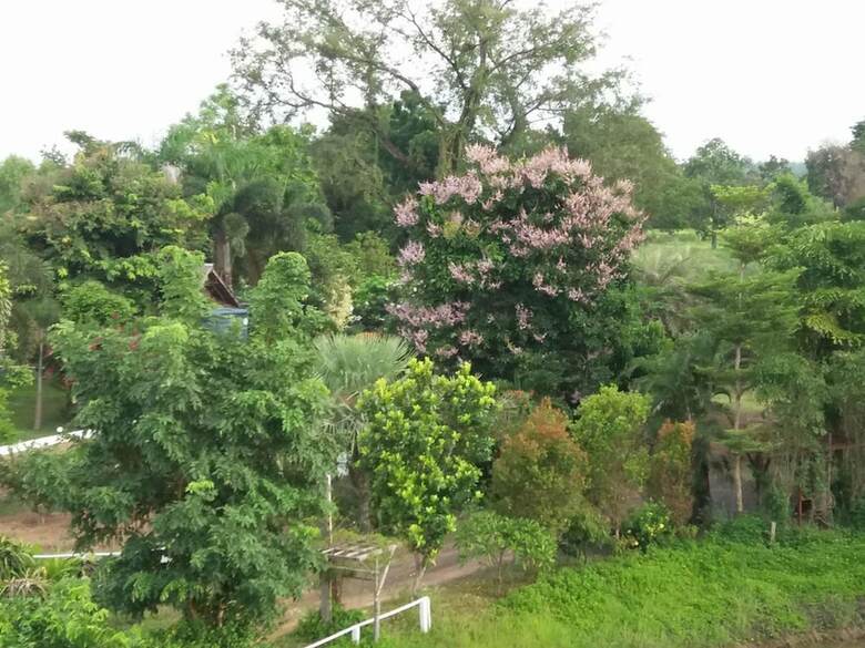 Hotel Ok Farm Resort