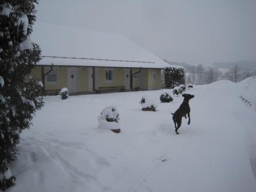 Apartamento Ferienhof Rieger
