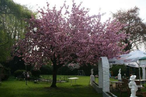 Posada Hotel D�lmener Hof