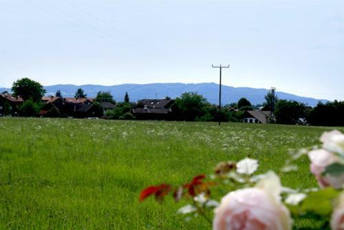 Hotel Friedenseiche