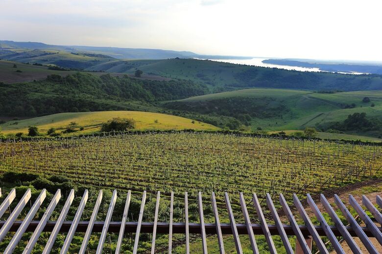 Seven Generations Winery Hotel & Spa