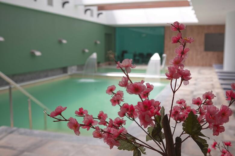 Hotel Asayra Termal Otel & Spa