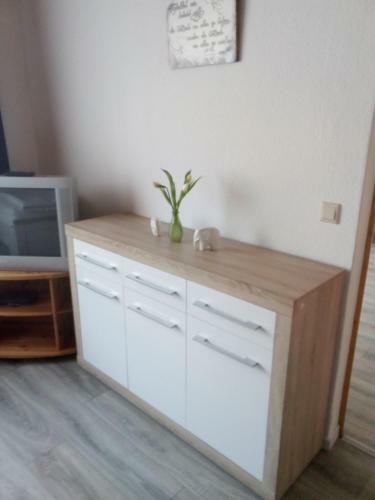 Aparthotel Pension Druschke