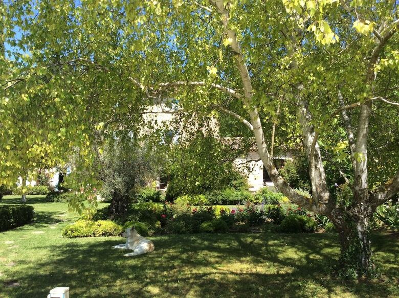 Hotel Chambres D'h�tes Et Mas - Les Bouisserettes
