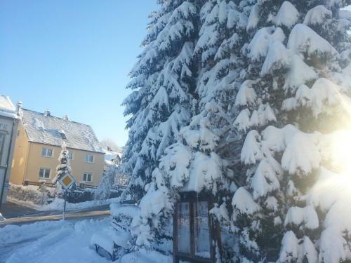 Hostal Pension Zur Wartburg