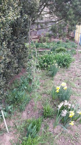 Ferienhaus Kr�hmer