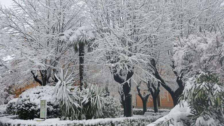 Bed & Breakfast A Casa Di Lia A Roma