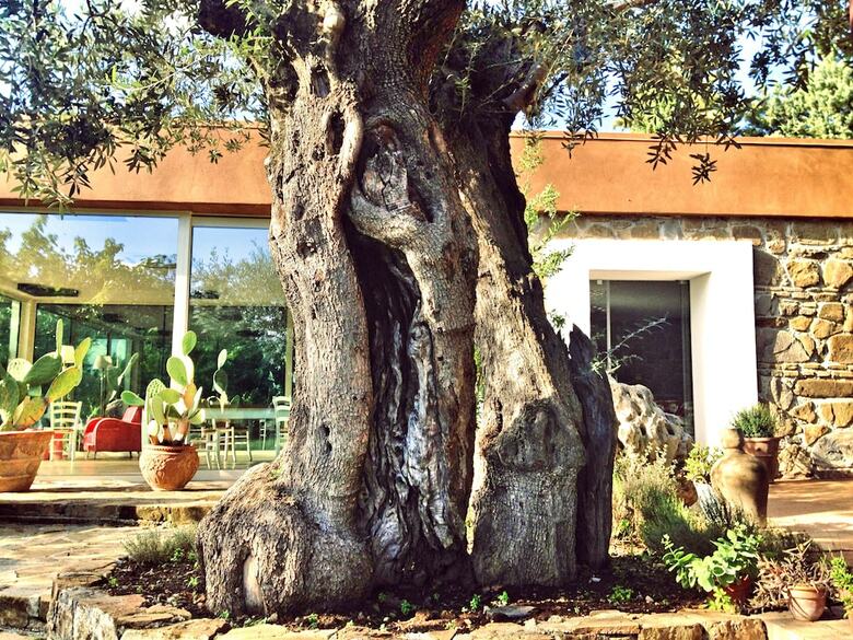 Bed & Breakfast Casale Giancesare Villa Agricola