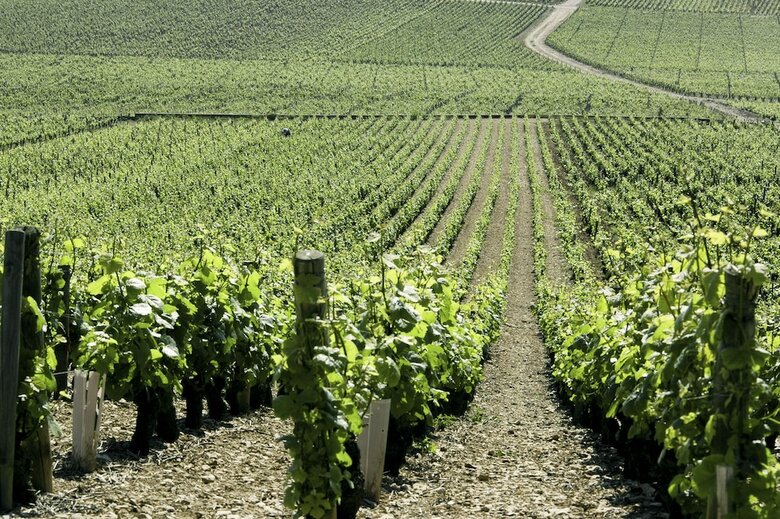 Hotel Ibis Budget Pouilly-en-auxois