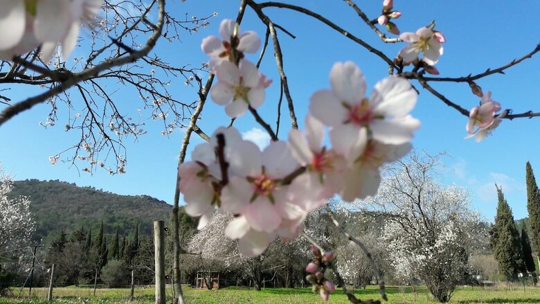 Bed & Breakfast La Grande Lauzade
