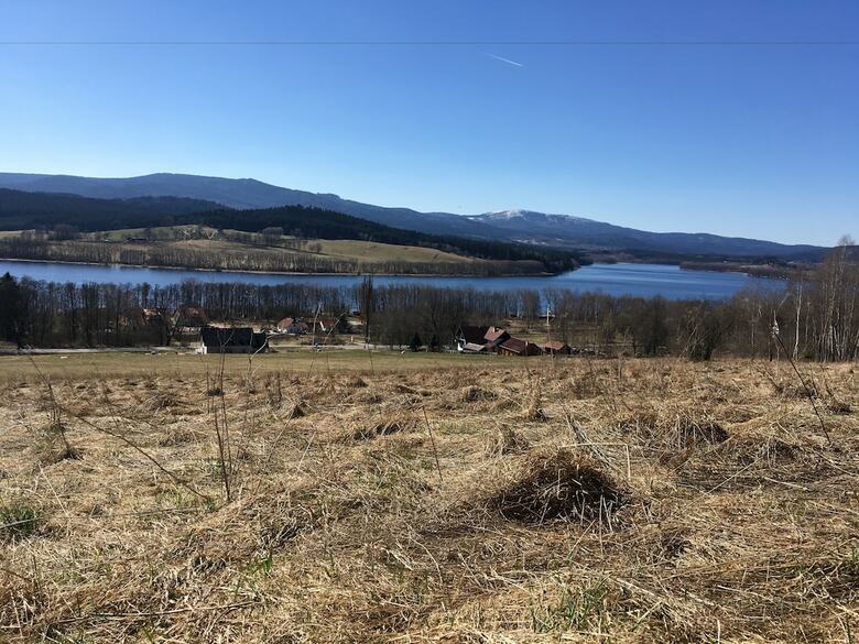 Pension Penzion U Kohout?