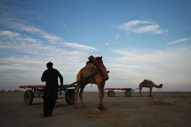 Hotel Hodka Rann Stay