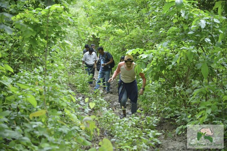 Hotel Bago Yoma Eco Resort