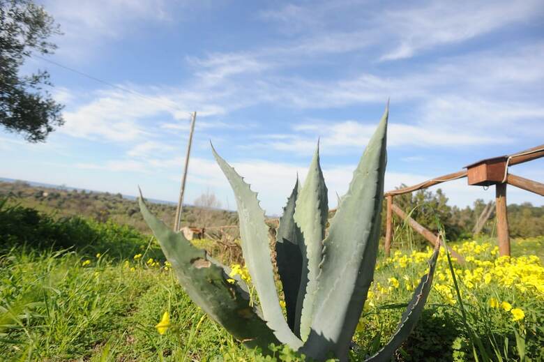 Agroturismo Barn�a - Agriturismo