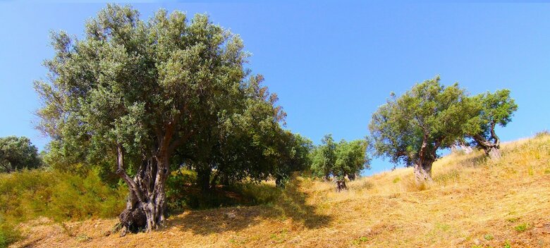 Agroturismo Agriturismo Vulcano