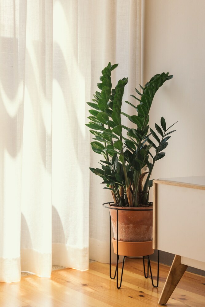 Apartamentos Figueiroa Oporto Coliseum