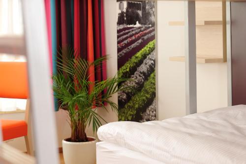 Hotel Haus Insel Reichenau