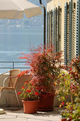 Hotel Haus Insel Reichenau