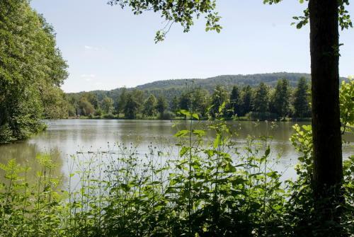 Hotel-gasthof Lamm