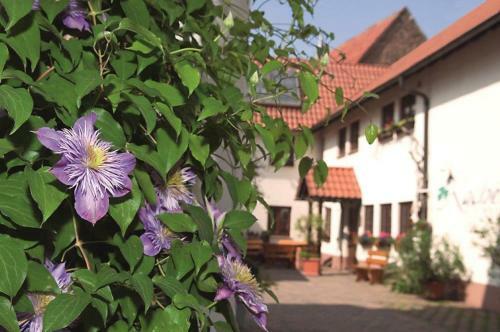 Hostal Pension G�stehaus Kachelofa