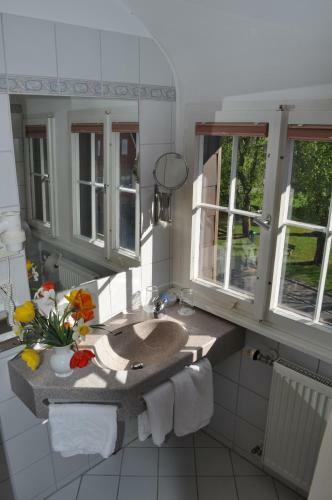 Hotel-restaurant Insel-hof