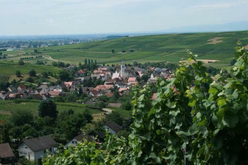 Hostal Hotel Restaurant Engel