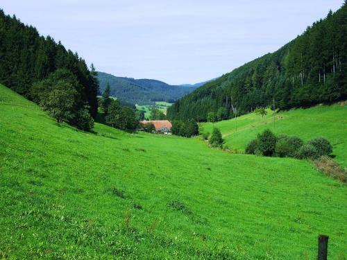 Apartamento Am Stulzenhof I