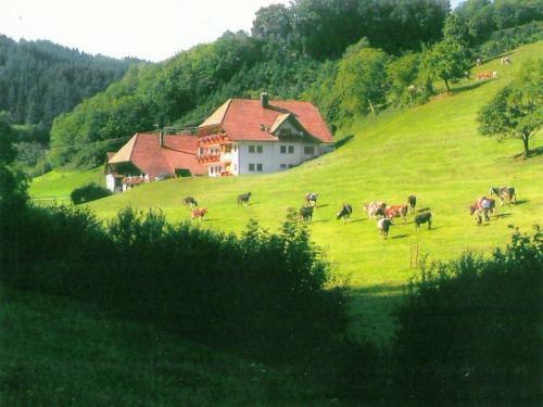 Apartamento Am Stulzenhof I