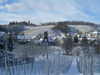 Hotel Schwarzw�lder Hof