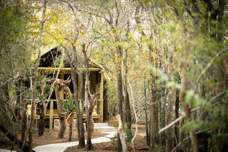 Posada Bundox Safari Lodge